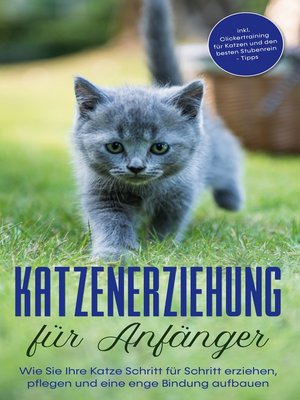 cover image of Katzenerziehung für Anfänger